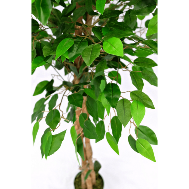 Kunst Ficus 150cm