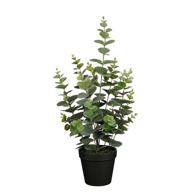 Eucalyptus Kunstplant in Bloempot - H53 x Ø23 cm - Groen