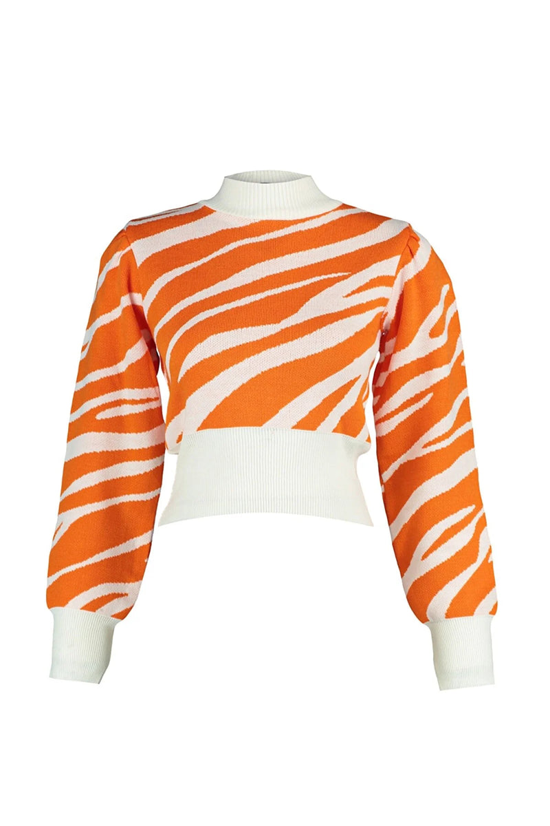 Dames trui zebraprint groen zwart bruin donkerroze roze oranje s m l