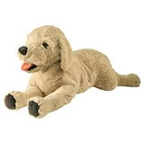 https://www.ikea.com/nl/nl/p/gosig-golden-pluchen-speelgoed-hond-golden-retriever-10132788/