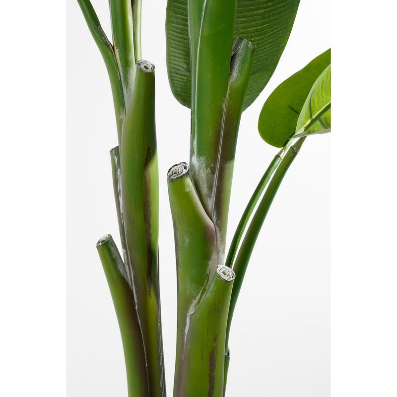 Heliconia Kunstplant - H175 x Ø140 cm - Groen