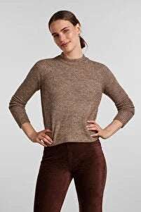 https://www.trendyol.com/en/pieces/sweater-brown-regular-fit-p-354904040