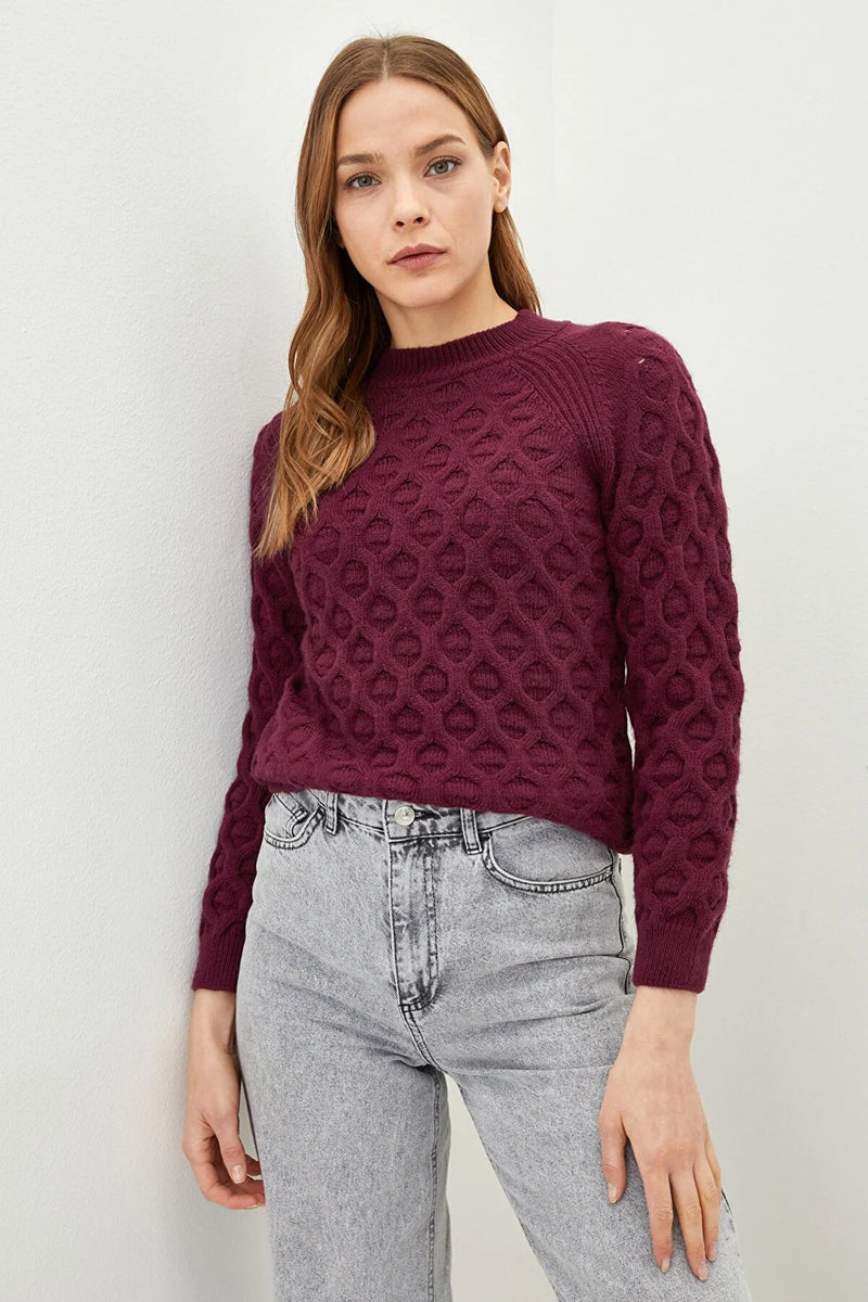 https://www.trendyol.com/en/lc-waikiki/sweater-purple-slim-fit-p-353174907