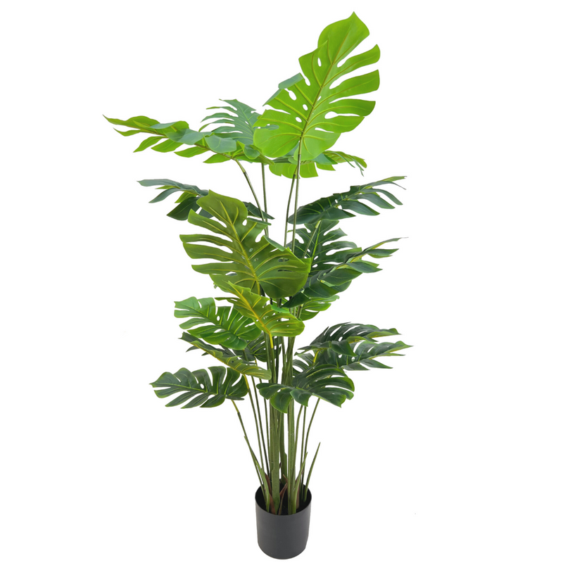 Monstera Kunstplant 165cm