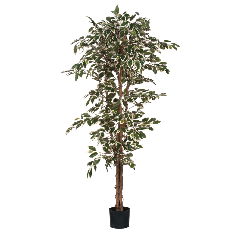 Ficus Kunstplant - H110 x Ø65 cm - Groen