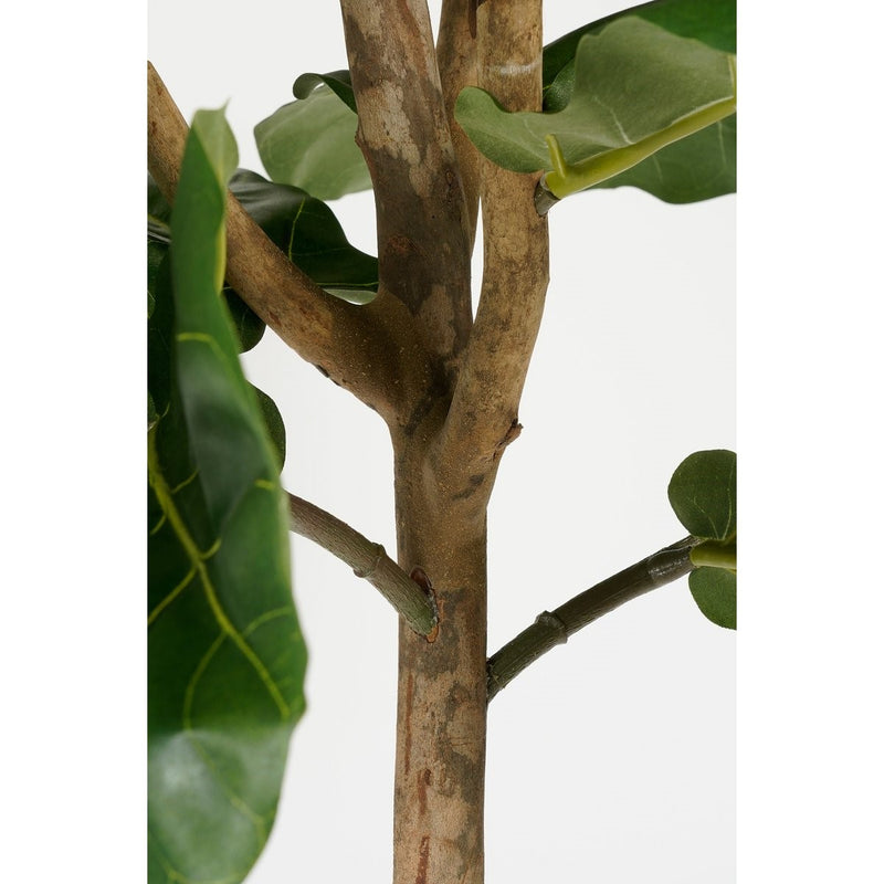 Ficus Lyrata Kunstplant - H165 x Ø95 - Groen