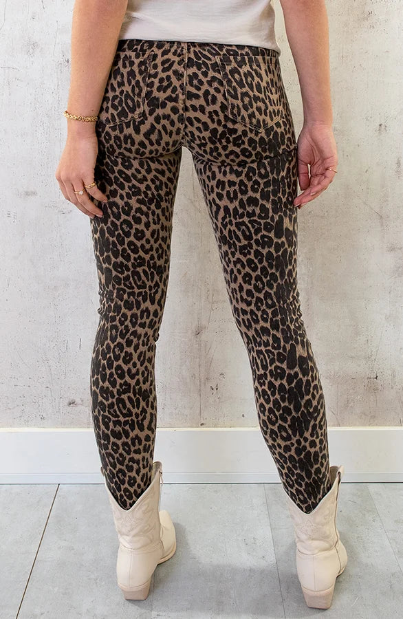 Dames broek panterprint bruin xs s m l xl