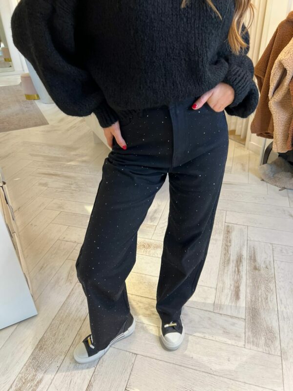 https://lofboutique.nl/product/sparkle-jeans-black/