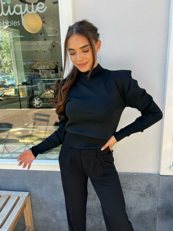 https://lofboutique.nl/product/sarah-sparkle-top-black/