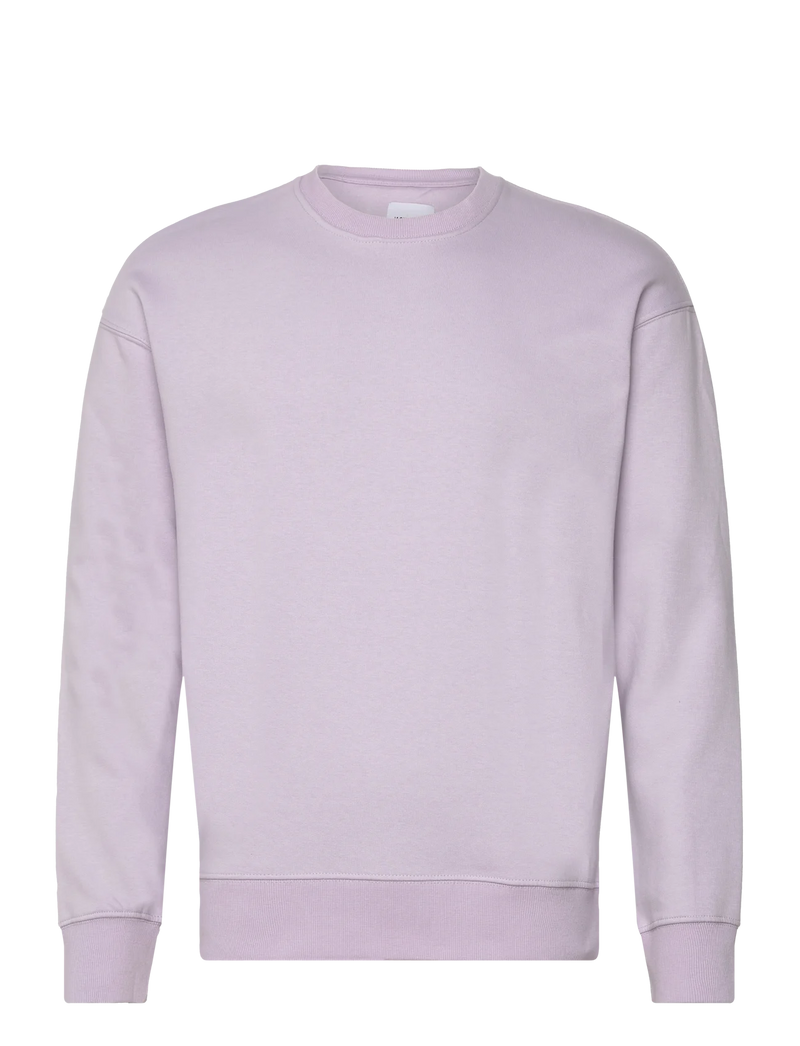 https://www.boozt.com/nl/nl/jack-jones/jjestar-basic-sweat-crew-neck-noos_31374248/227221064