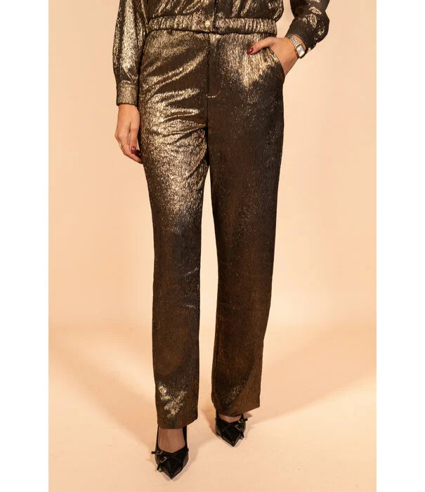 Dames broek anna bruin zilver xs s m l